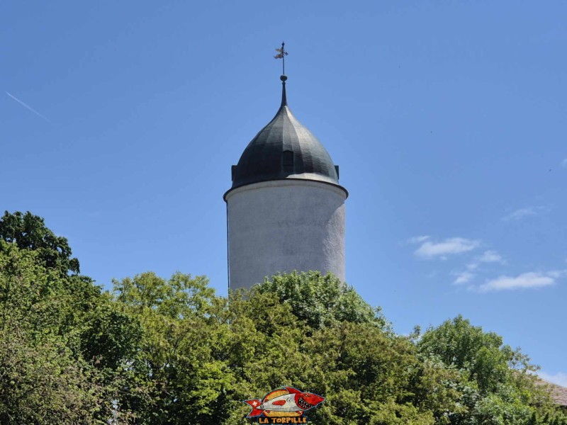Le sommet du donjon d'Aubonne.