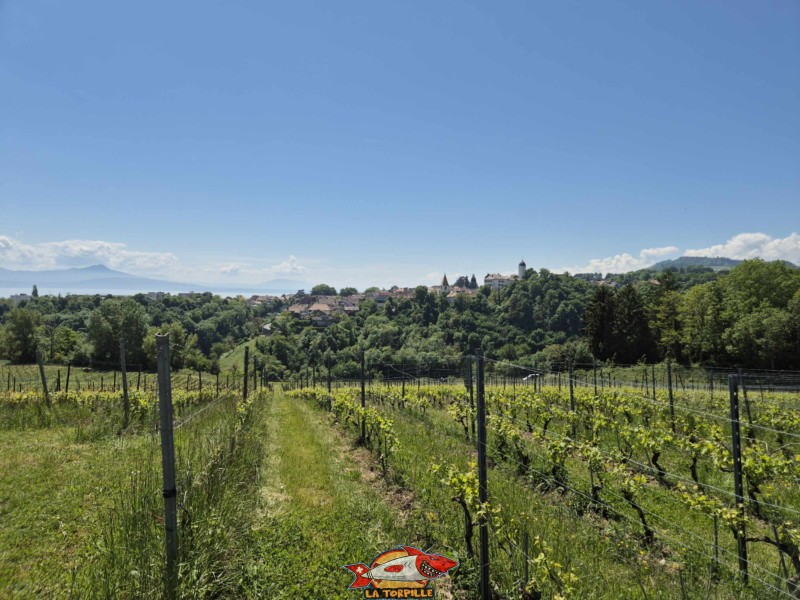 La vue depuis St-Livres, au nord, sur le château d'Aubonne.