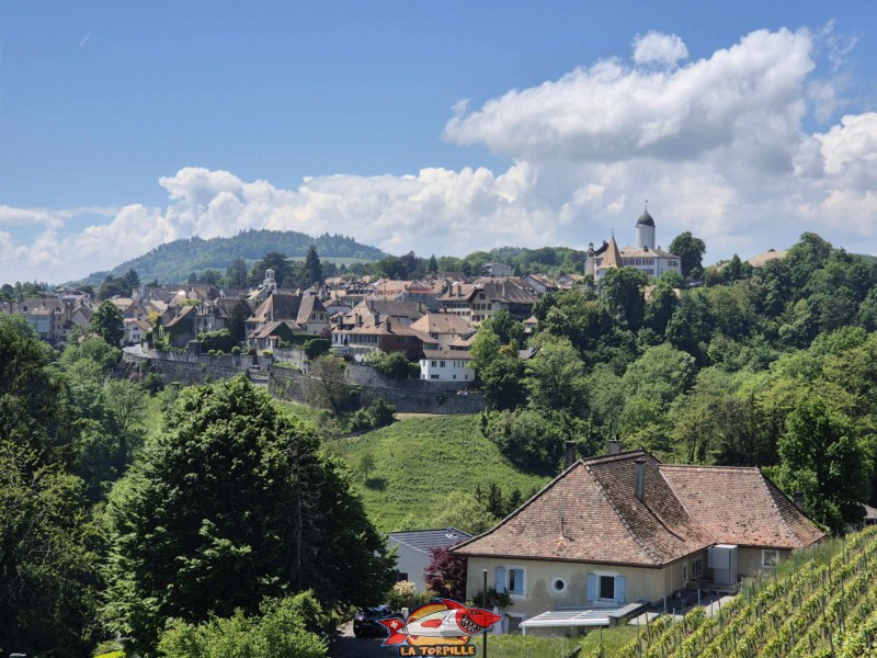 La vieille ville d'Aubonne et le château sur la droite depuis la route entre Aubonne et St-Livres,à l'est