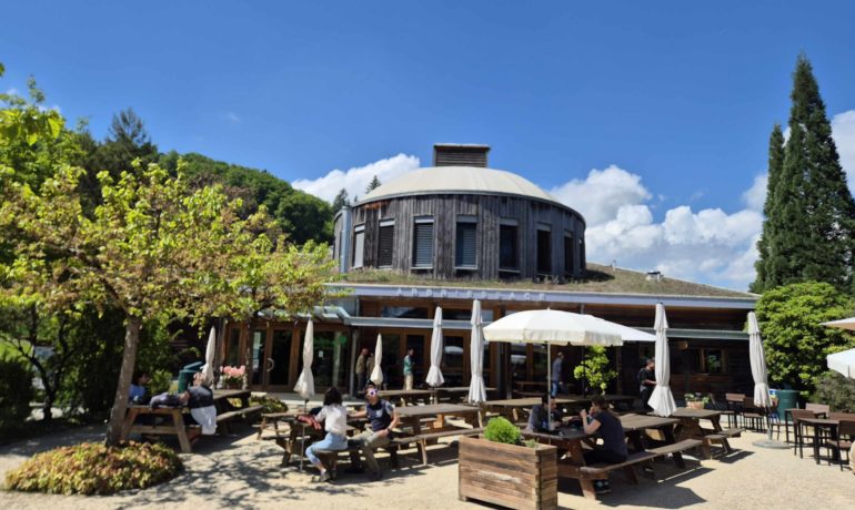 🍁 Arboretum du Vallon de l’Aubonne
