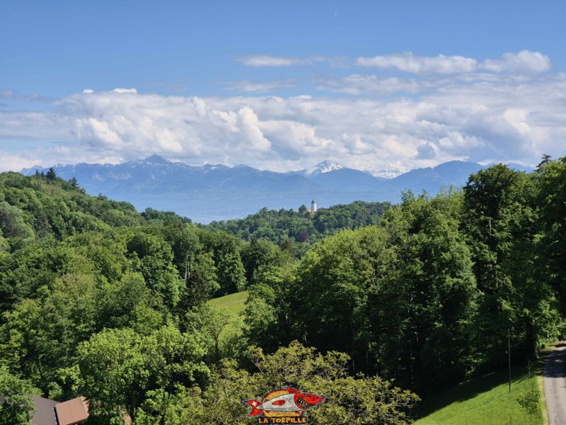 La vue depuis la route à proximité de l'Arboretum sur le château d'Aubonne, au nord-ouest.