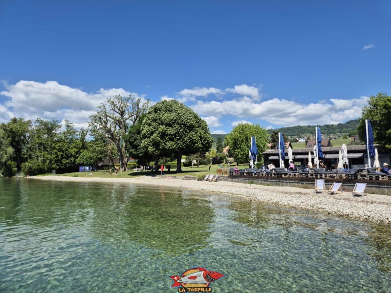 Zone Est, plage du Plongeon, Perroy