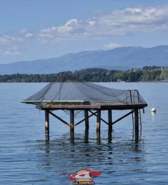 🏖️ Plage du Plongeon – Perroy