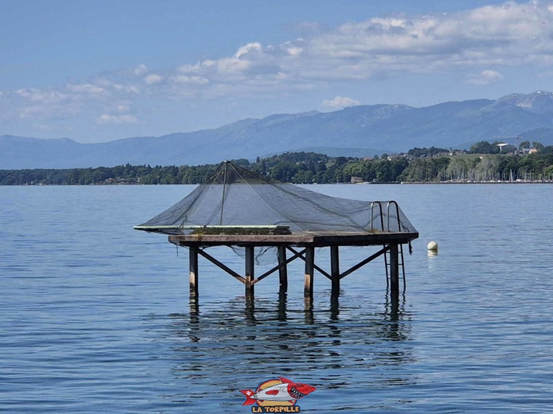 plongeoir plage du Plongeon, perroy, vaud