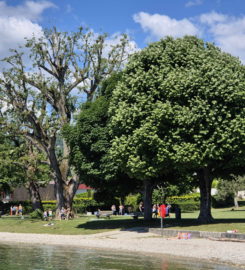 🏖️ Plage du Plongeon – Perroy