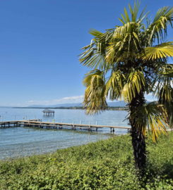 🏖️ Plage du Plongeon – Perroy