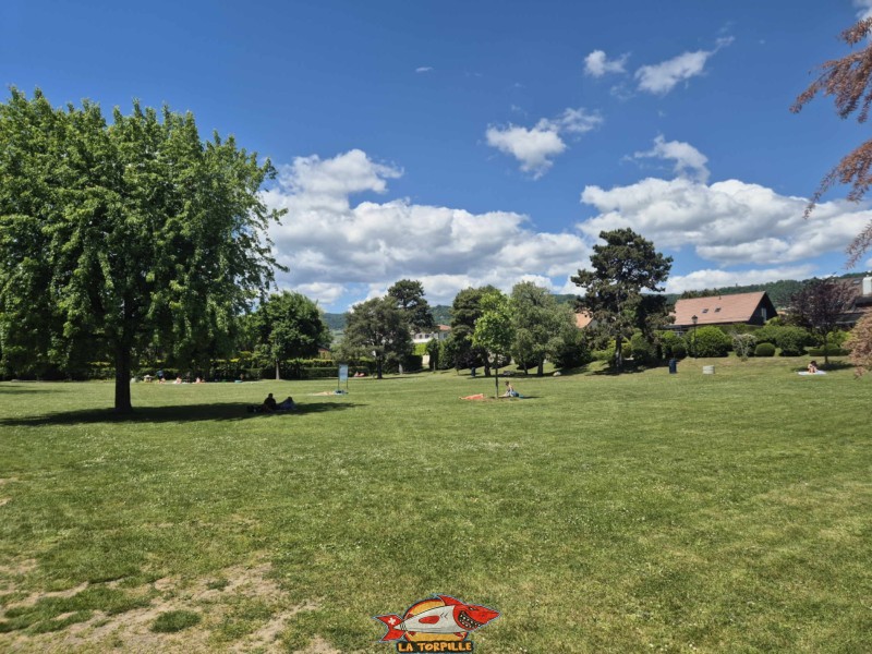 Zone herbeuse, plage du Plongeon, perroy, vaud