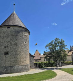 🏰 Château de Rolle