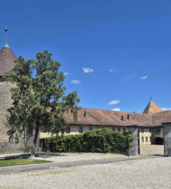 🏰 Château de Rolle