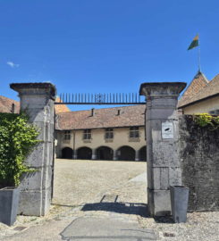 🏰 Château de Rolle