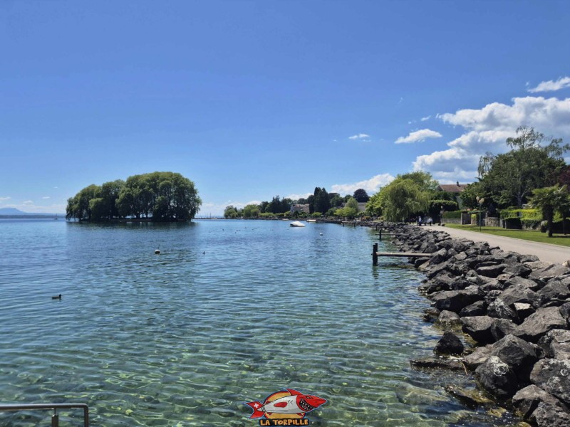 Île de la Harpe, Rolle