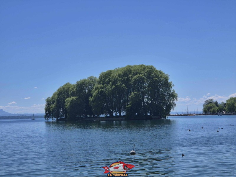 Île de la Harpe, Rolle