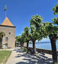 🏰 Château de Rolle