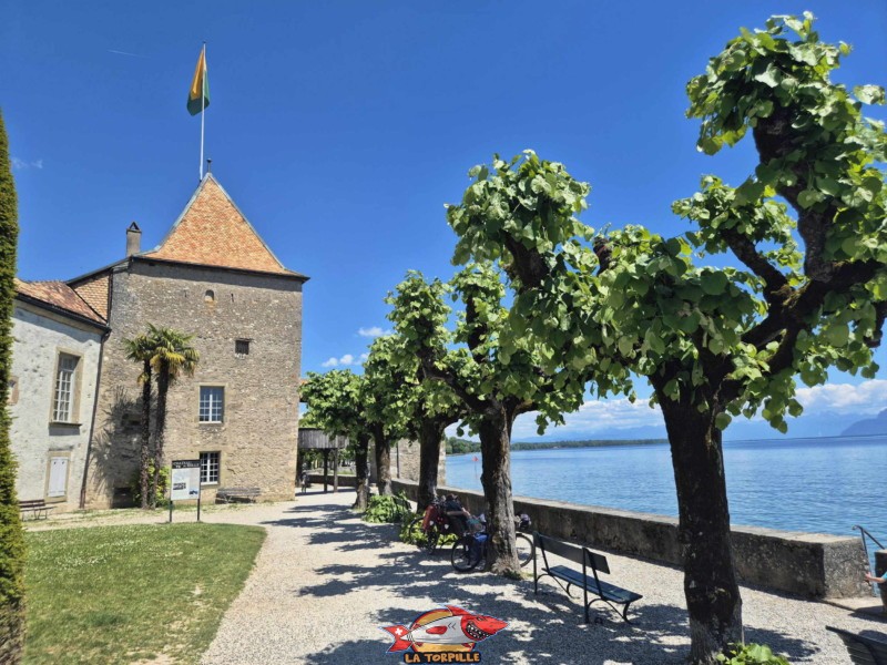 Côté Sud, château de Rolle, Canton de Vaud.