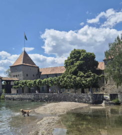 🏰 Château de Rolle