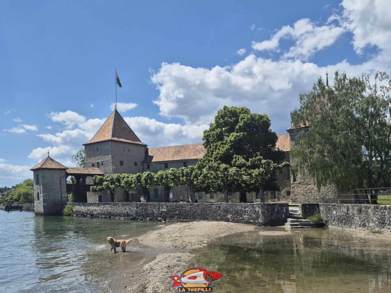 Côté Est, château de Rolle, Canton de Vaud.