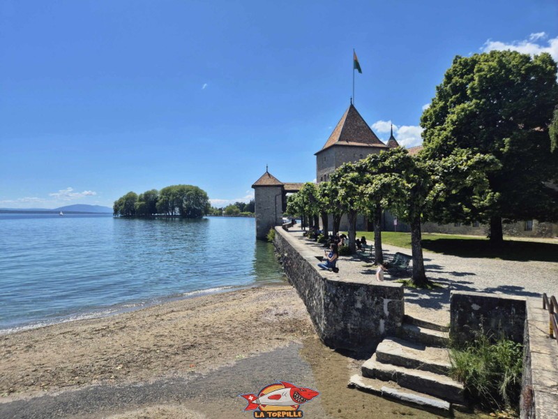 Île de la Harpe, Rolle