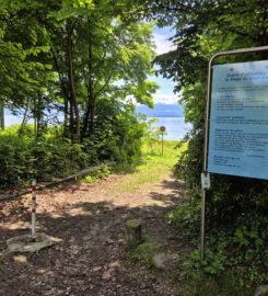 🏖️ Plage de Fleur d’Eau – Rolle & Bursinel