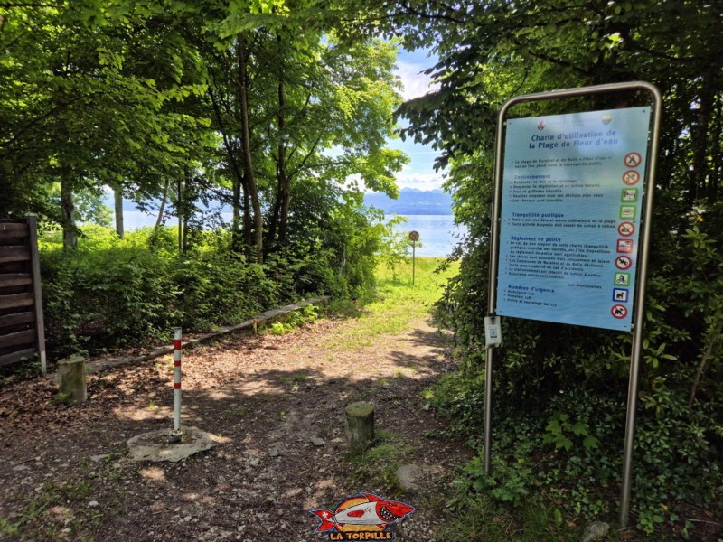 L'accès à la plage avec le règlement. la plage de Fleur d'Eau. Bursinel, Rolle, Léman, canton de Vaud. L'accès à la plage avec le règlement. la plage de Fleur d'Eau. Bursinel, Rolle, Léman, canton de Vaud.