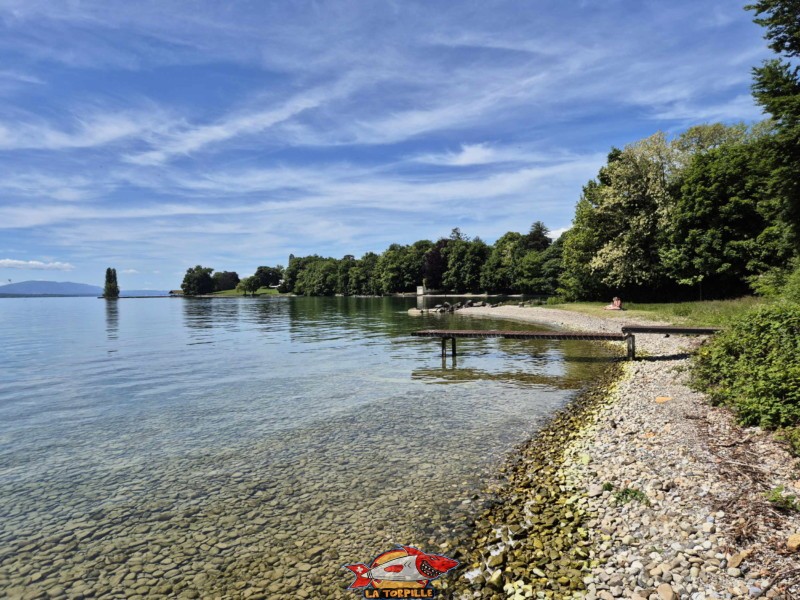 la plage de Fleur d'Eau en direction de l'ouest. Bursinel, Rolle, Léman, canton de Vaud.