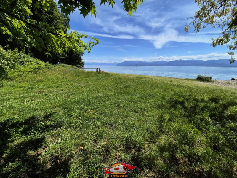 la plage de Fleur d'Eau en direction de l'est. Bursinel, Rolle, Léman, canton de Vaud.