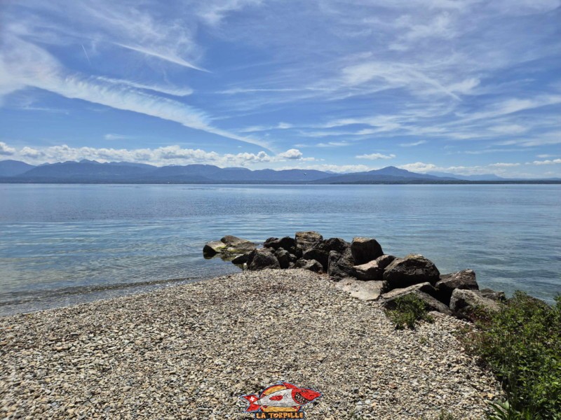 L'extrémité ouest de la plage. la plage de Fleur d'Eau en direction de l'ouest. Bursinel, Rolle, Léman, canton de Vaud. L'extrémité ouest de la plage. la plage de Fleur d'Eau en direction de l'ouest. Bursinel, Rolle, Léman, canton de Vaud.