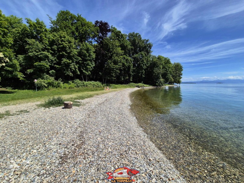 la plage de Fleur d'Eau en direction de l'est. Bursinel, Rolle, Léman, canton de Vaud.