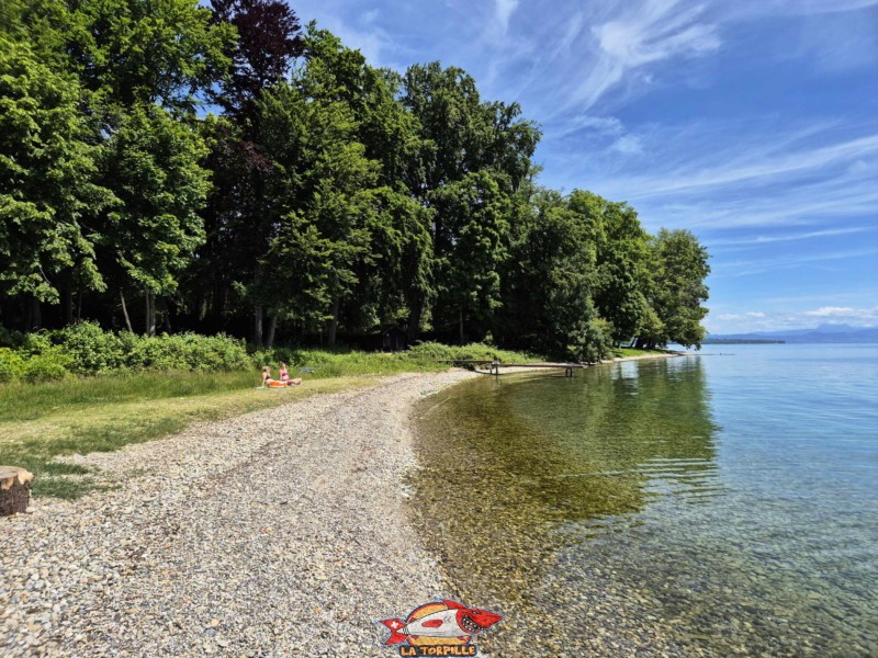 La plage Fleur d'Eau. Bursinel, Rolle, Léman, canton de Vaud.