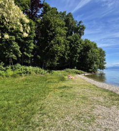 🏖️ Plage de Fleur d’Eau – Rolle & Bursinel