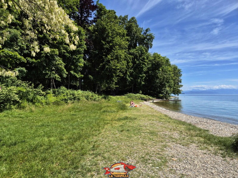 la plage de Fleur d'Eau en direction de l'est. Bursinel, Rolle, Léman, canton de Vaud.