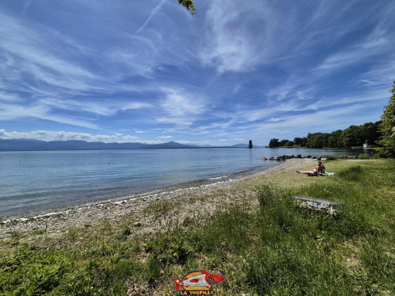 la plage de Fleur d'Eau en direction de l'ouest. Bursinel, Rolle, Léman, canton de Vaud.