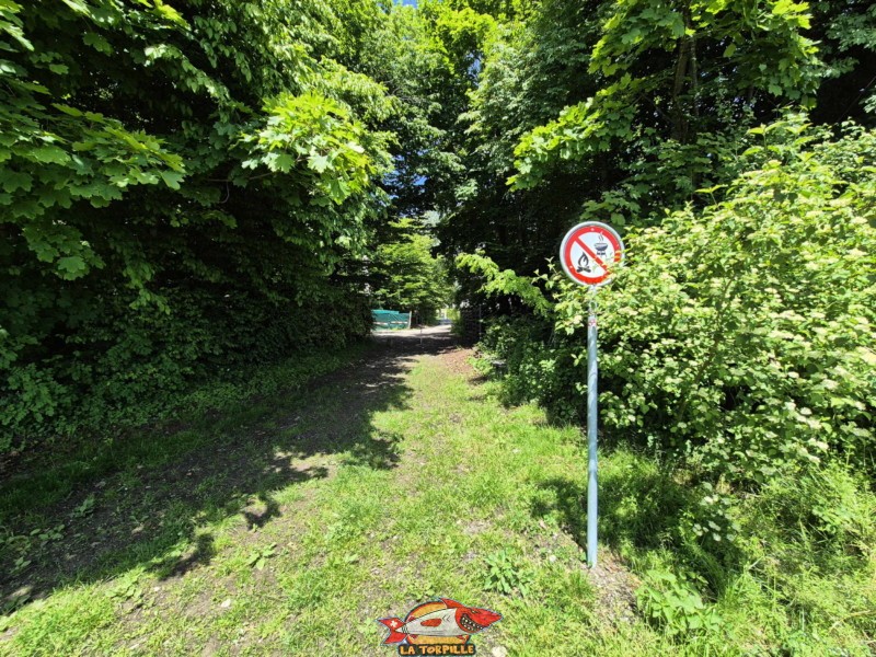 Le chemin d'accès depuis la plage. Bursinel, Rolle, Léman, canton de Vaud. Le chemin d'accès depuis la plage. Bursinel, Rolle, Léman, canton de Vaud.