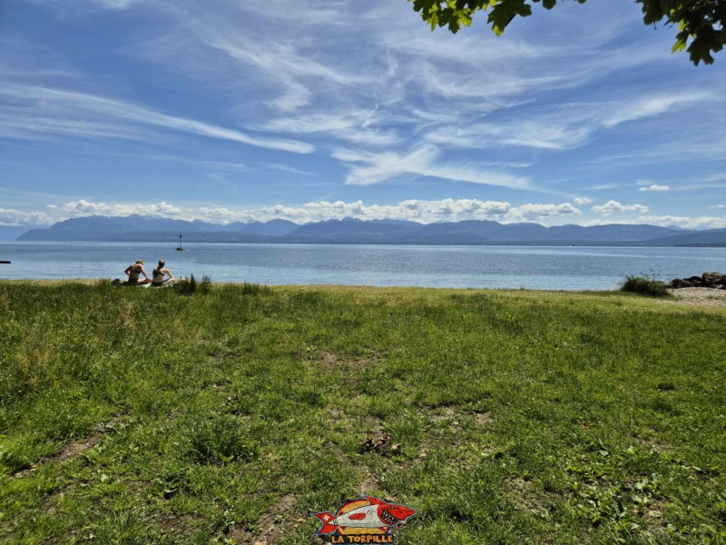Le milieu de la plage de Fleur d'Eau. Bursinel, Rolle, Léman, canton de Vaud.