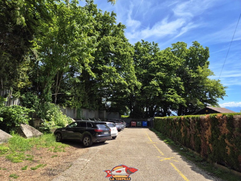 Le parking, à durée limitée, juste à côté de la plage. Plage de la Dullive, Dully, Canton de Vaud, Léman. Le parking, à durée limitée, juste à côté de la plage. Plage de la Dullive, Dully, Canton de Vaud, Léman.