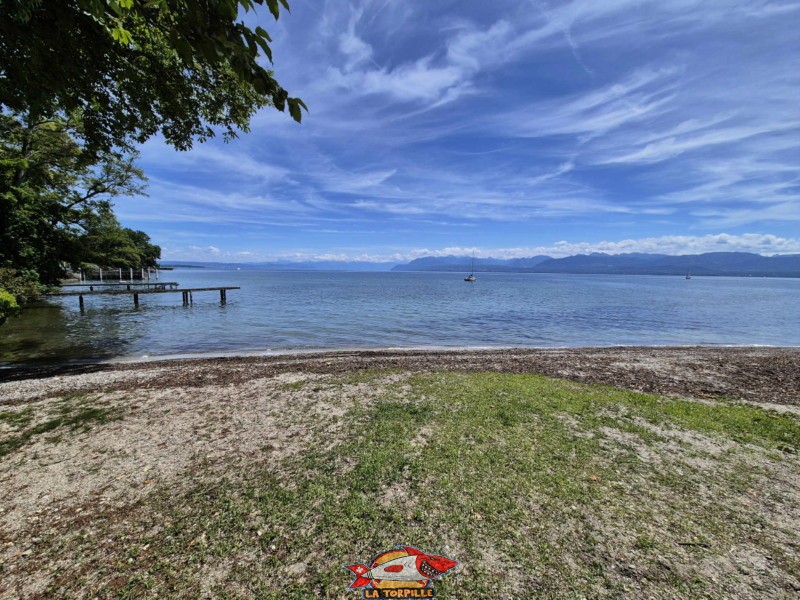 Sable, zone nord. Plage de la Dullive, Dully, Canton de Vaud, Léman.