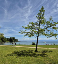 🏖️ Plage de la Dullive – Dully