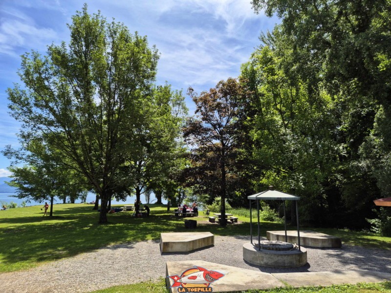 Le magnifique barbecue. Plage de la Dullive, Dully, Canton de Vaud, Léman.