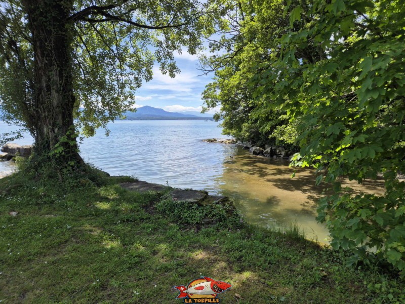 Dullive, direction aval. Plage de la Dullive, Dully, Canton de Vaud, Léman.