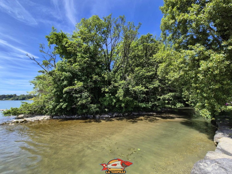 Dullive, direction amont. Plage de la Dullive, Dully, Canton de Vaud, Léman.