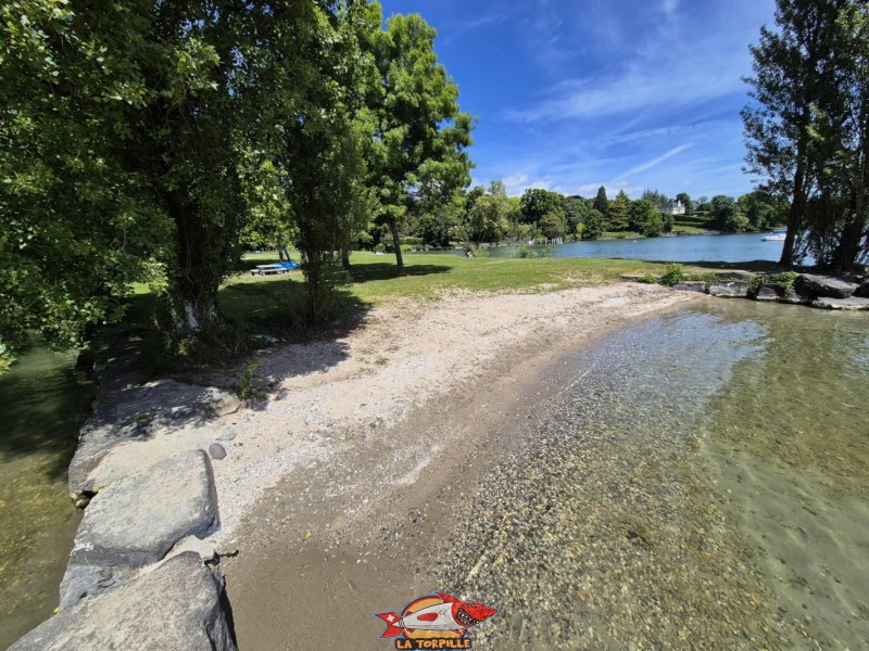 Sable, zone sud. Plage de la Dullive, Dully, Canton de Vaud, Léman.