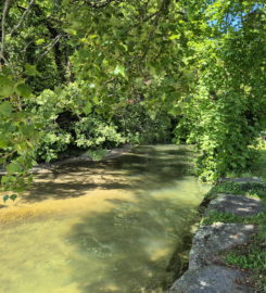 🏖️ Plage de la Dullive – Dully