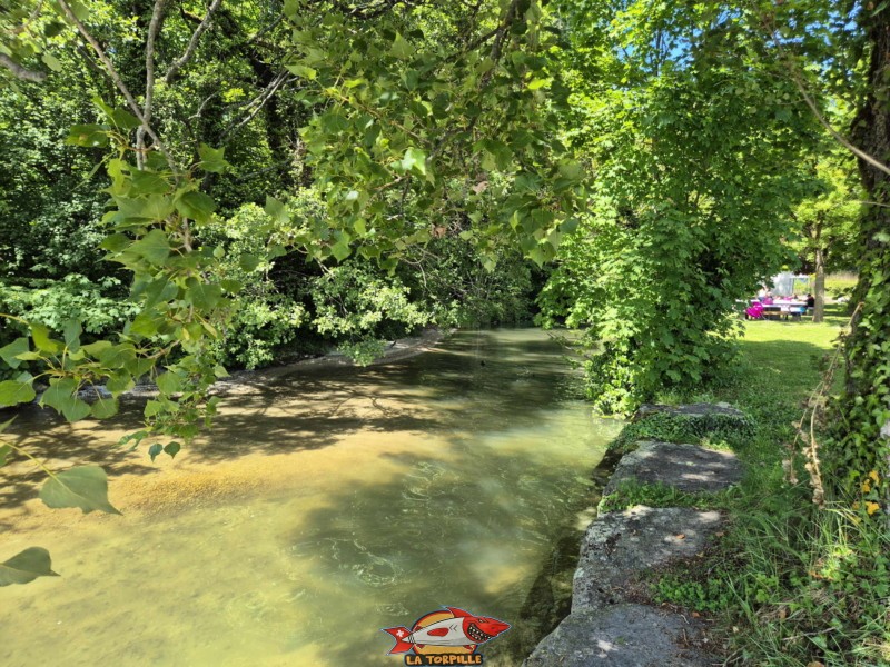 Dullive, direction amont. Plage de la Dullive, Dully, Canton de Vaud, Léman.