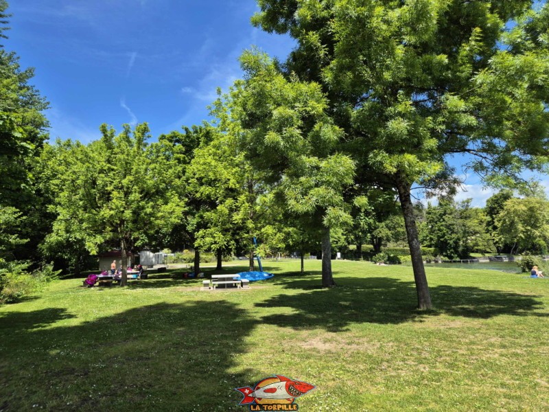 Pelouse. Plage de la Dullive, Dully, Canton de Vaud, Léman.