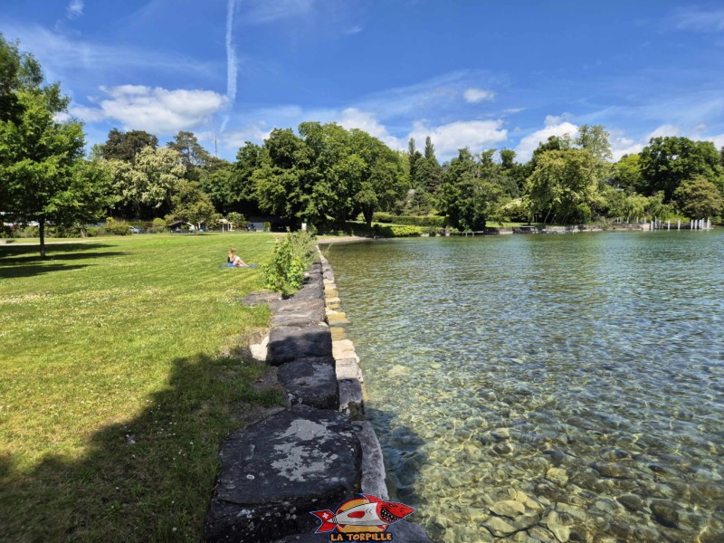 Enrochements. Plage de la Dullive, Dully, Canton de Vaud, Léman.