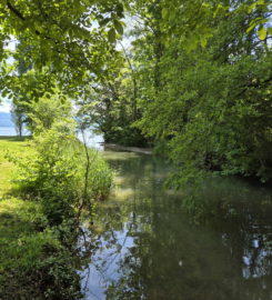 🏖️ Plage de la Dullive – Dully