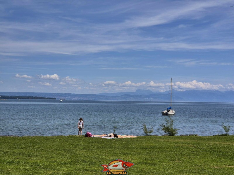 Pelouse. Plage de la Dullive, Dully, Canton de Vaud, Léman.