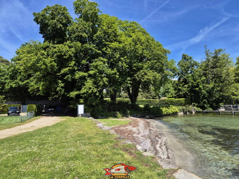 Sable, zone nord. Plage de la Dullive, Dully, Canton de Vaud, Léman.