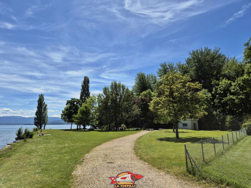 Pelouse. Plage de la Dullive, Dully, Canton de Vaud, Léman.