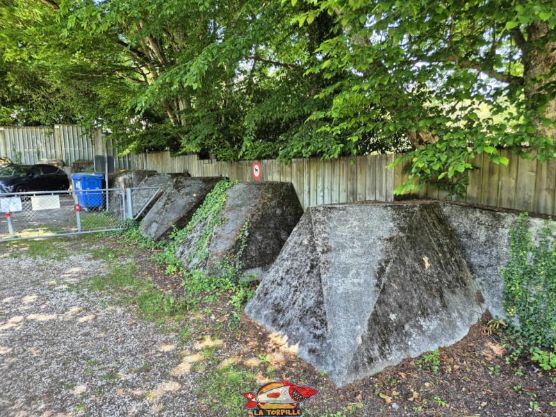Plusieurs toblerones se trouvent à l'entrée de la plage de la Dullive. Plage de la Dullive, Dully, Canton de Vaud, Léman.