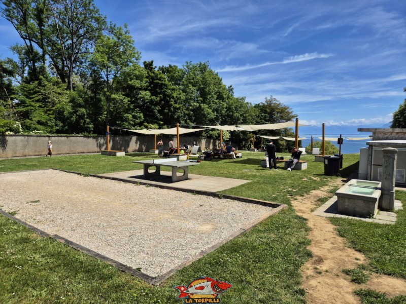 zone de pelouse au-dessus de la plage. Plage de la Falaise, Gland. Léman, canton de Vaud.
